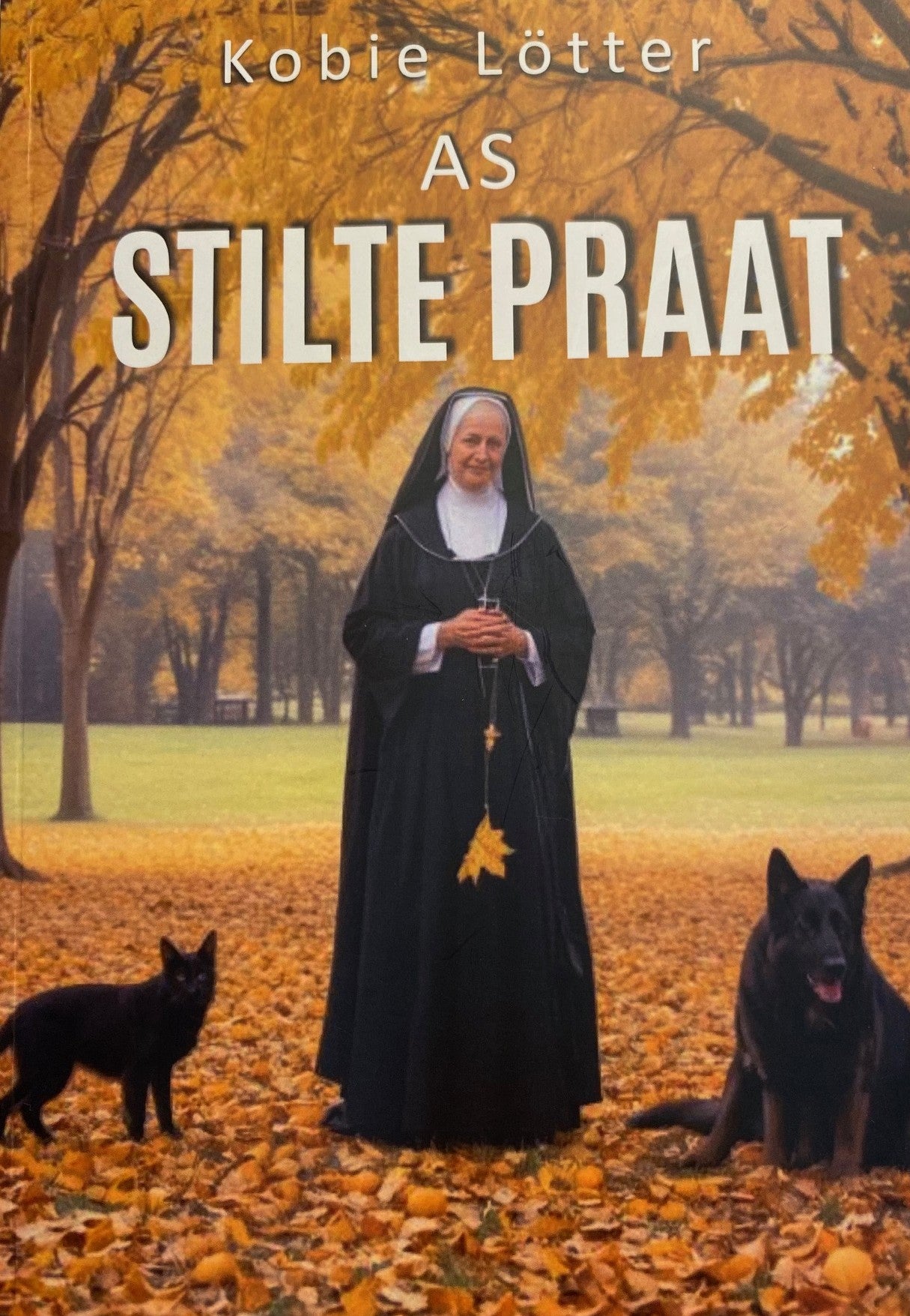 AS STILTE PRAAT