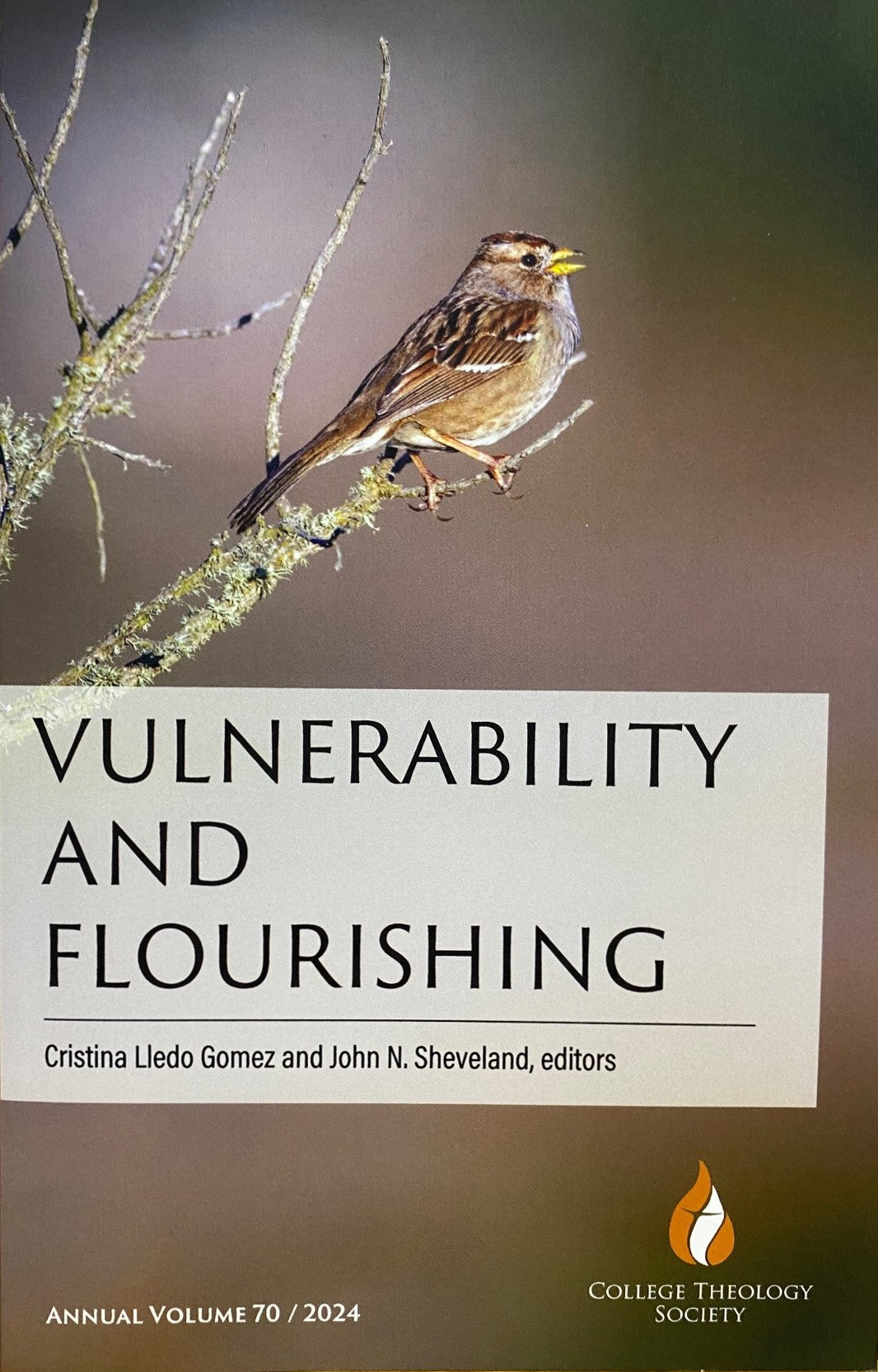 Vulnerability and Flourishing