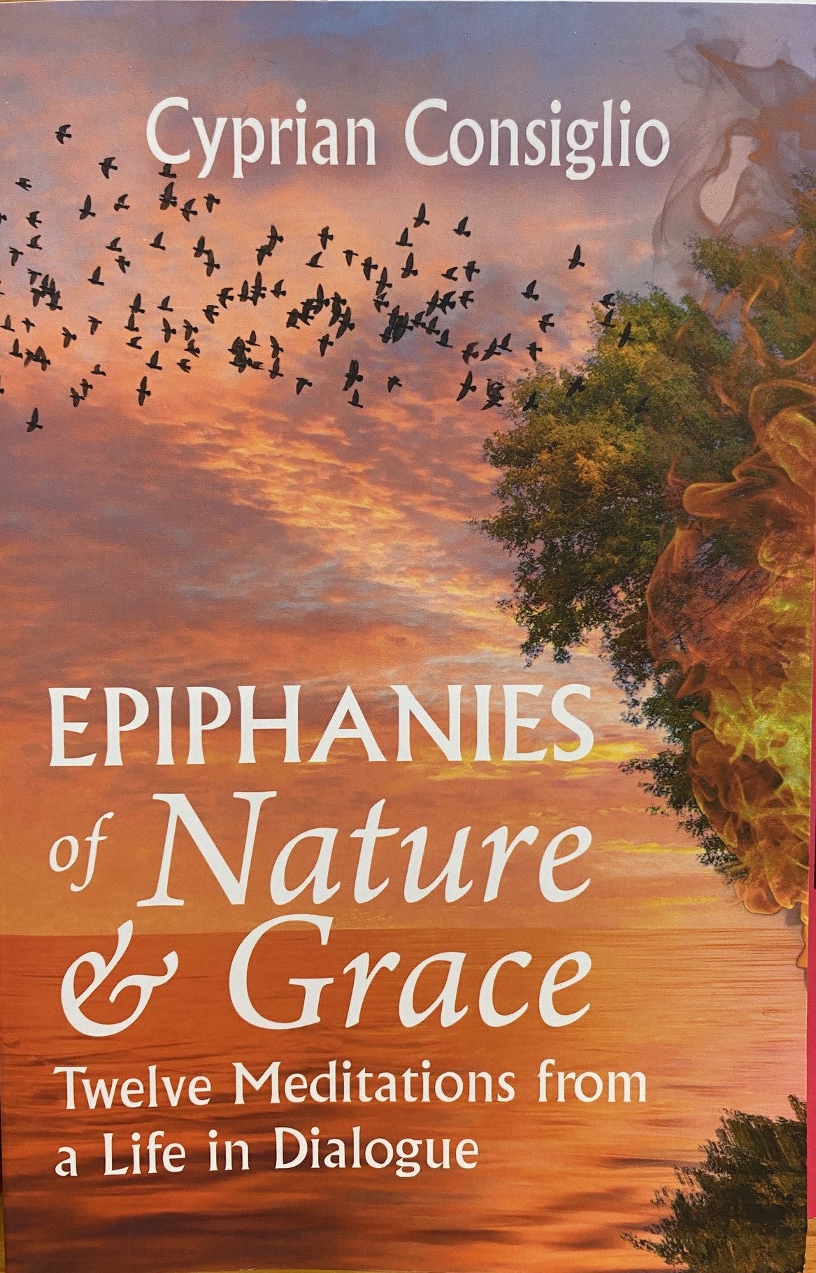 Epiphanies of Nature and Grace