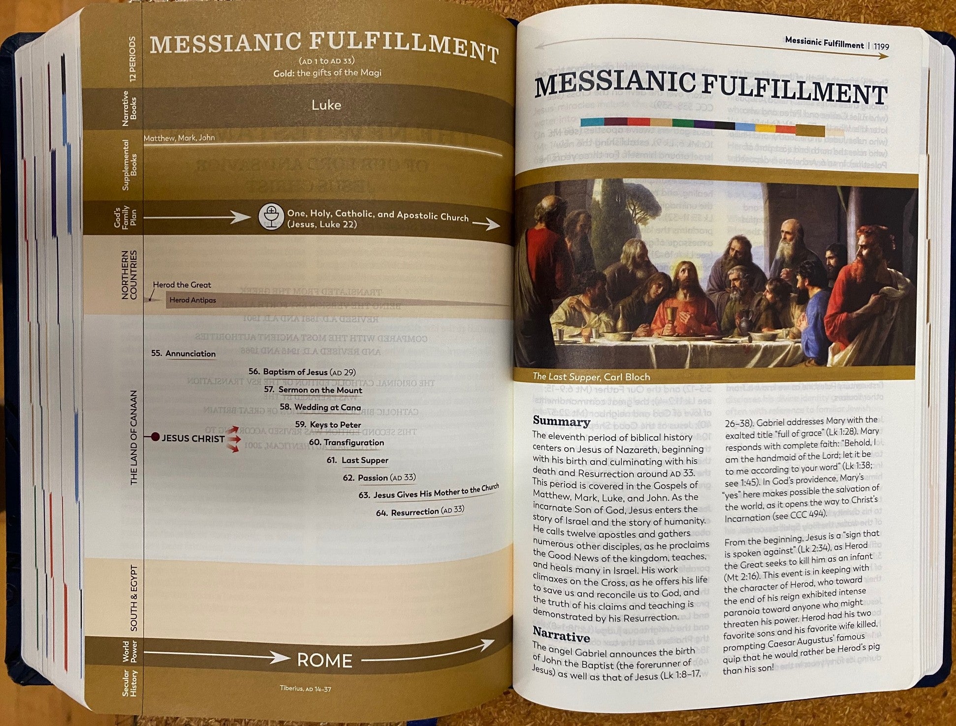 The Great Adventure Catholic Bible - Paperback edition