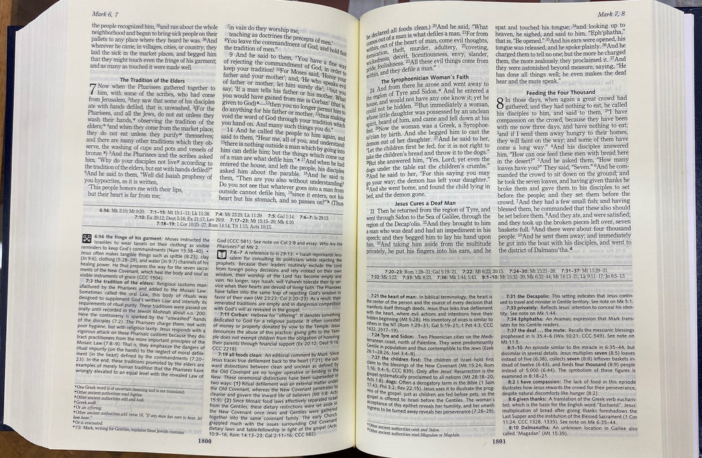 Open book with text on a blue background