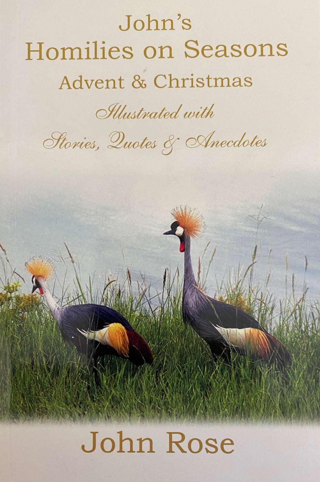 Johannes se preke oor die seisoene: Advent en Kersfees