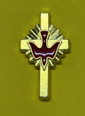 Pin red dove on gold cross