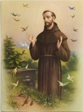 St Francis van Assisi met voëls A5 grootte