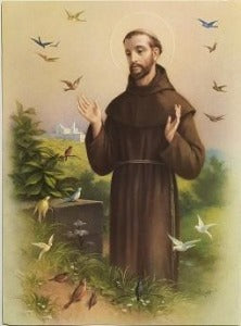 St Francis van Assisi met voëls A5 grootte