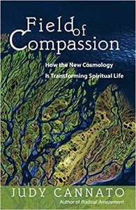 Field of Compassion - How the new cosmology is transforming Spiritual Life