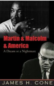 Martin & Malcolm & America