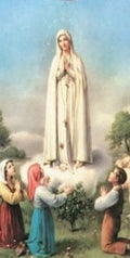 Our Lady of Fatima A4 grootte