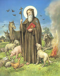 St Anthony the Abbot A4 grootte