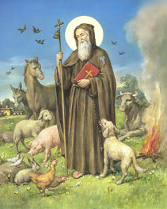 St Anthony the Abbot A4 grootte